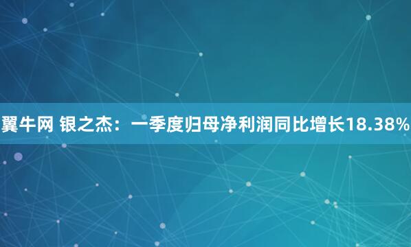 翼牛网 银之杰：一季度归母净利润同比增长18.38%