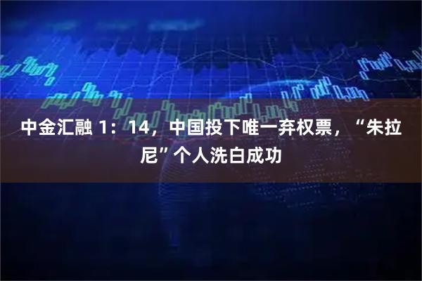 中金汇融 1：14，中国投下唯一弃权票，“朱拉尼”个人洗白成功