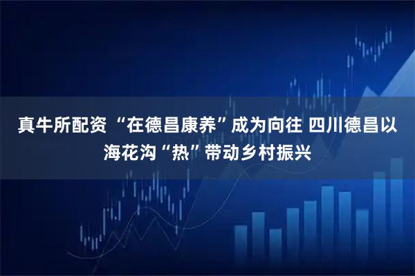 真牛所配资 “在德昌康养”成为向往 四川德昌以海花沟“热”带动乡村振兴