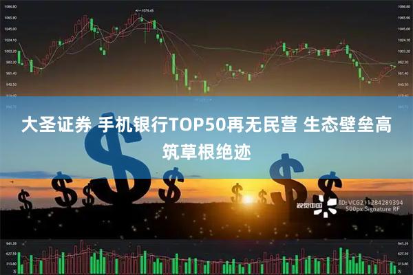 大圣证券 手机银行TOP50再无民营 生态壁垒高筑草根绝迹